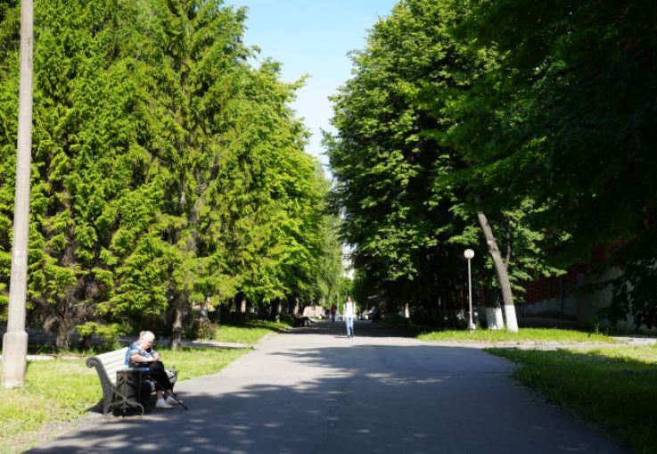 Инвентаризацию зелёных насаждений в Ульяновске продлили на три года