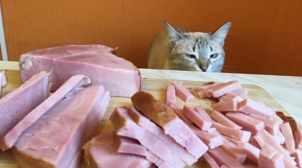 Ульяновская область укрепила позиции в рейтинге Forbes благодаря агрохолдингам