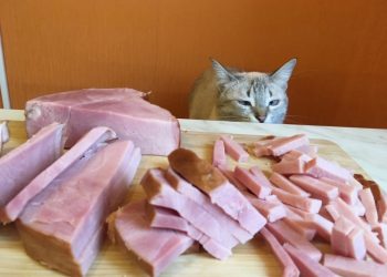 Ульяновская область укрепила позиции в рейтинге Forbes благодаря агрохолдингам