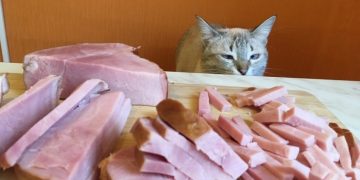 Ульяновская область укрепила позиции в рейтинге Forbes благодаря агрохолдингам