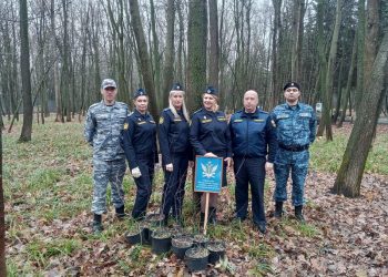 Ранетки от судебных приставов появились в ульяновском парке Победы