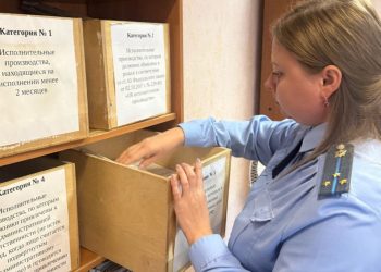 В Ульяновске алиментный долг в 2,2 млн рублей погасили за счет продажи доли в доме