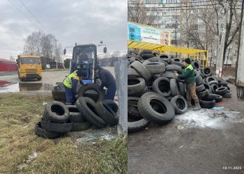 Шесть КамАЗов шин: в Ульяновске подводят первые итоги борьбы с опасным мусором
