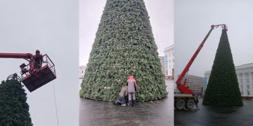 На Соборной площади в Ульяновске украшают главную новогоднюю ёлку