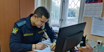 В Ульяновске пресекли незаконную продажу ветеринарных препаратов