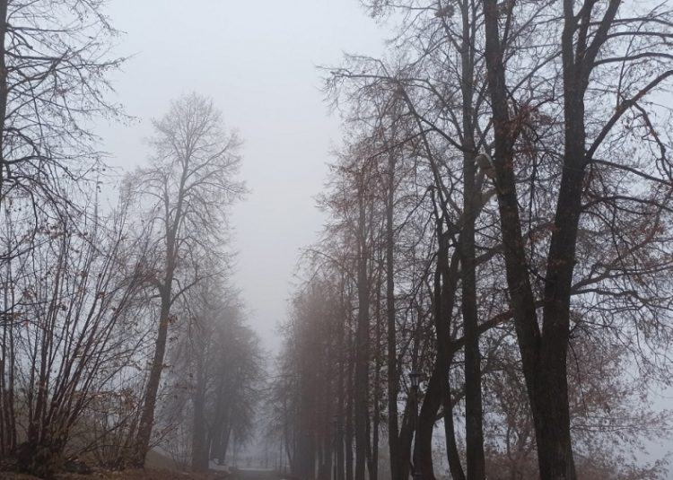 В Ульяновской области объявили штормовое предупреждение из-за тумана