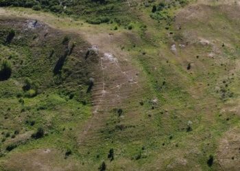 Сурки‑байбаки протоптали созвездие Лисы в Сенгилеевских горах