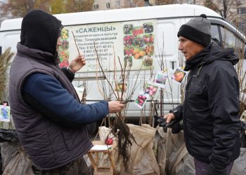 Ульяновцев приглашают на последнюю в этом году ярмарку у ТЦ «Звезда»