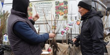 Ульяновцев приглашают на последнюю в этом году ярмарку у ТЦ «Звезда»