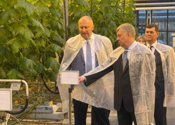 Рекордная урожайность и новые сорта: ульяновский губернатор посетил АО «Тепличное»