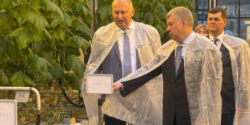 Рекордная урожайность и новые сорта: ульяновский губернатор посетил АО «Тепличное»