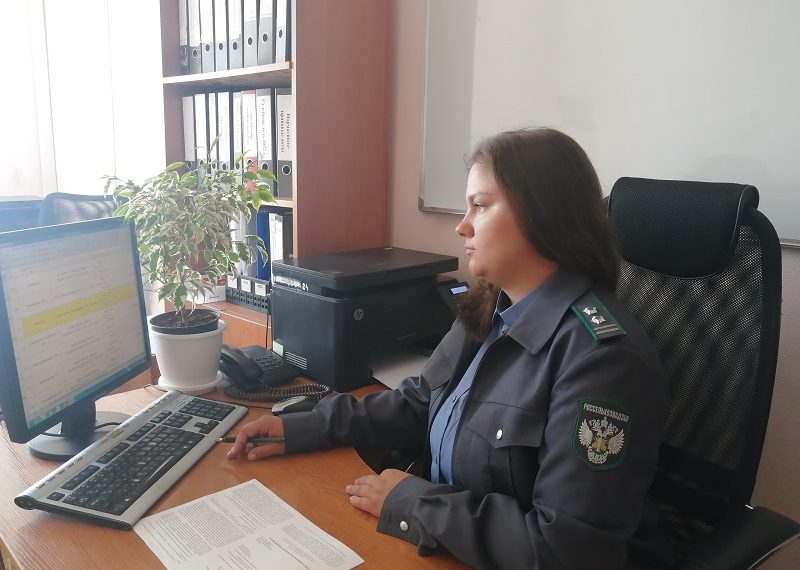 В Ульяновской области выявили более 100 сайтов, незаконно торгующих ветлекарствами