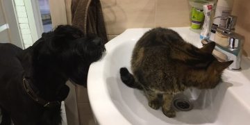 На минувшей неделе ульяновцы чаще всего жаловались на проблемы с водой