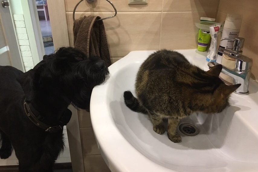 На минувшей неделе ульяновцы чаще всего жаловались на проблемы с водой