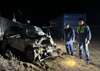 Три человека погибли в ДТП с фурой на трассе «Урал» в Ульяновской области