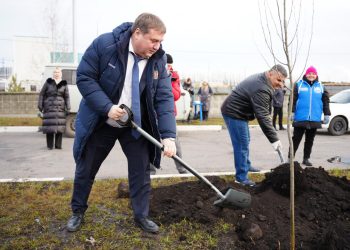 Ля-ля, тополя: Мэр Болдакин поучаствовал в посадке 140 тополей новом микрорайоне Ульяновска