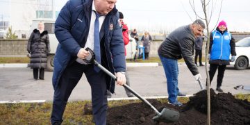 Ля-ля, тополя: Мэр Болдакин поучаствовал в посадке 140 тополей новом микрорайоне Ульяновска