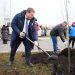 Ля-ля, тополя: Мэр Болдакин поучаствовал в посадке 140 тополей новом микрорайоне Ульяновска