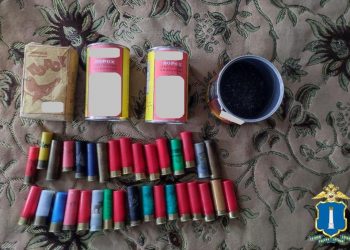 Полицейские изъяли боеприпасы и порох в Инзе и в Майнском районе