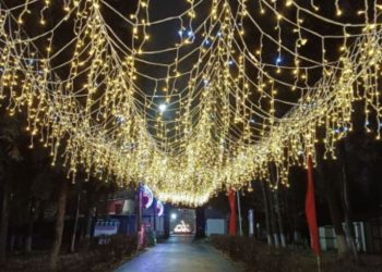 Парки Ульяновска украшают к зимнему сезону и Новому году