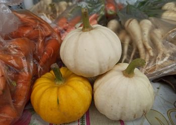 Цены на образование и проезд выросли в Ульяновской области, а на овощи — подешевели