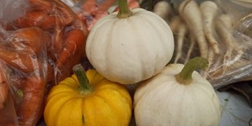 Цены на образование и проезд выросли в Ульяновской области, а овощи — подешевели