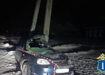 На трассе под Ульяновском погиб водитель врезавшейся в опору ЛЭП легковушки