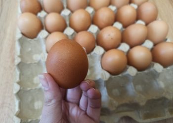 Яйца замедлили инфляцию в Ульяновской области