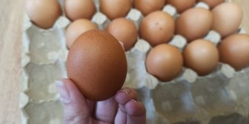 Яйца замедлили инфляцию в Ульяновской области