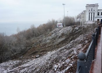 Учёный объяснил, как расчистка парка Дружбы народов укрепит склон над Волгой в Ульяновске