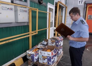 В Ульяновскую область ввезли почти 2 000 тонн импортных продуктов