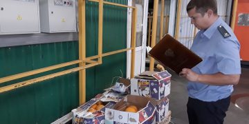 Какао-бобы и овощи: какие товары ввозят в Ульяновскую область