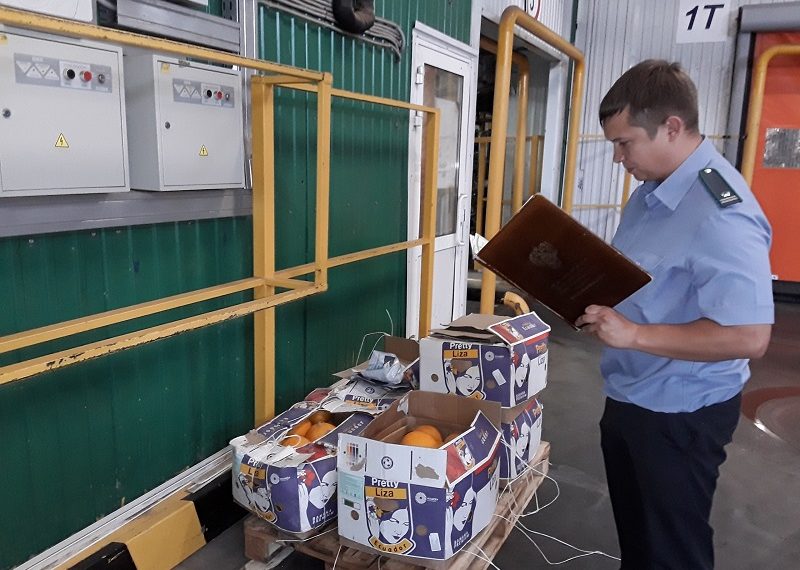 В Ульяновскую область ввезли почти 2 000 тонн импортных продуктов