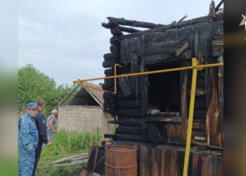 За попытку сжечь дом с детьми ульяновец приговорён к длительному сроку