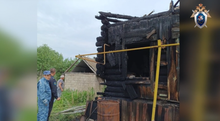 За попытку сжечь дом с детьми ульяновец приговорён к длительному сроку