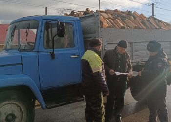 Более 300 сотрудников провели рейды против незаконных рубок в Ульяновской области