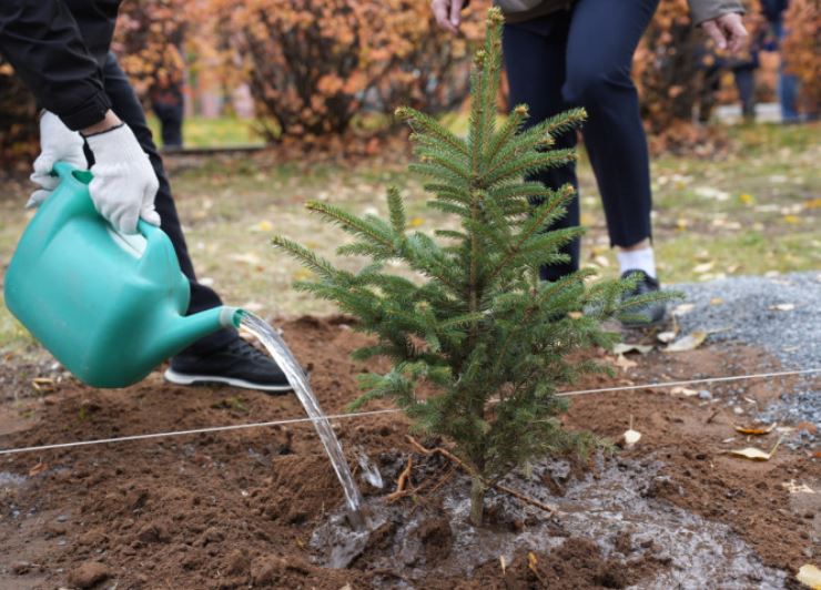 В Ульяновске завершили сезонные посадки