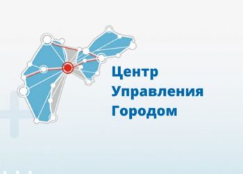 Ульяновский ЦУГ обработал 123 тысячи обращений за 11 месяцев