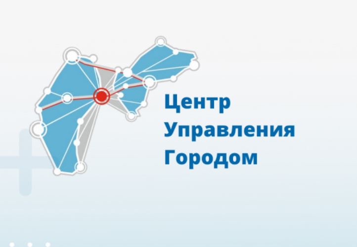 Ульяновский ЦУГ обработал 123 тысячи обращений за 11 месяцев