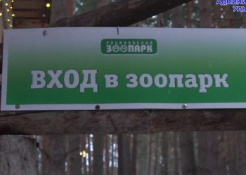Ульяновский зоопарк отметил своё 10-летие