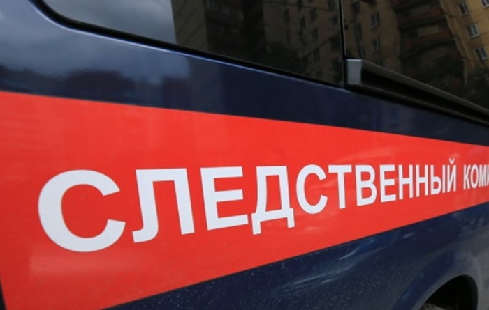 Ульяновский Следком начал проверку по факту нападения собаки на девочку