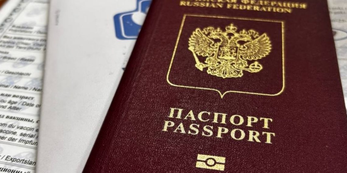 Из Ульяновской области в 2025 году вывезли 62 домашних питомца