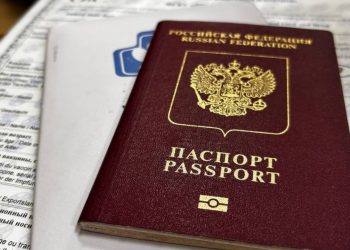 Из Ульяновской области в 2025 году вывезли 62 домашних питомца