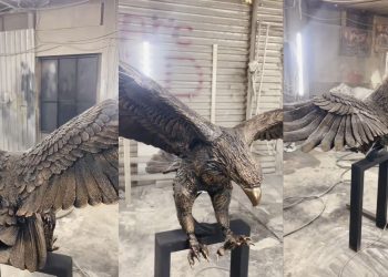 Орлан-белохвост станет новым символом смотровой площадки «Гранное ухо» в Сенгилеевских горах