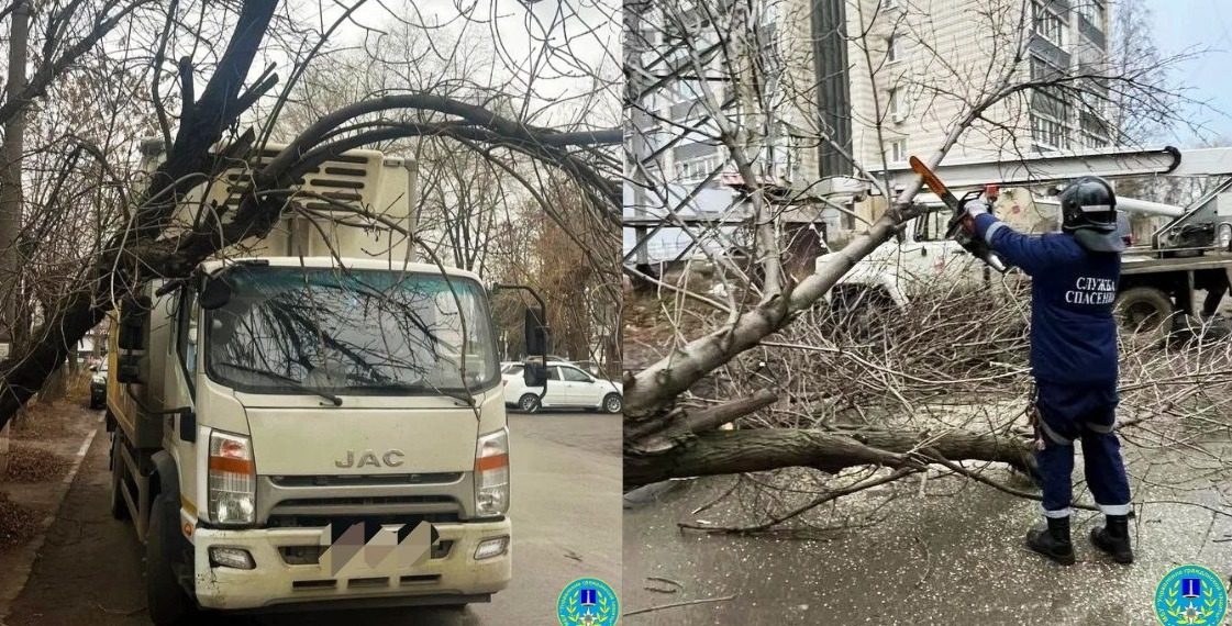 На Песках в Ульяновске аварийное дерево рухнуло на грузовик