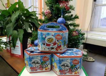 Более 21 тысячи ульяновских детей ждут новогодние подарки от властей и спонсоров