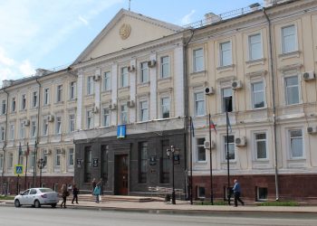 Ульяновский мэр взял на контроль поиск хозяина собаки, напавшей на ребенка