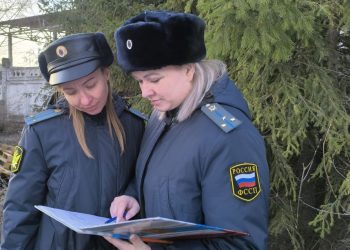 Любовь к машине оказалась сильнее: приставы заставили ульяновца заплатить алименты