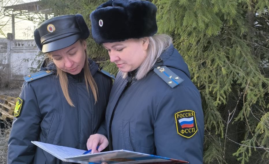 Любовь к машине оказалась сильнее: приставы заставили ульяновца заплатить алименты