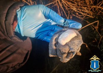 В лесу под Ульяновском задержали двоих мужчин с крупной партией мефедрона